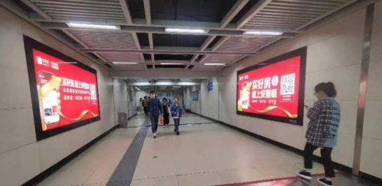 2025新澳门2025原料网茄子下载